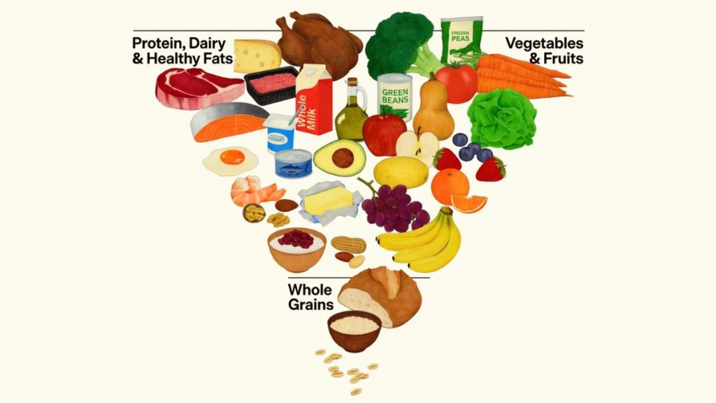 Illustration of a food pyramid featuring three sections: Protein, Dairy & Healthy Fats; Vegetables & Fruits; and Whole Grains. The pyramid showcases various food items such as meats, dairy products, fruits, vegetables, and grains.